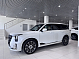 GAC GS8 GX Premium, белый