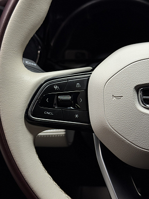 Geely Monjaro, 2023 года, пробег 89000 км