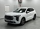 Haval Jolion Elite Plus, 2022 года, пробег 53400 км