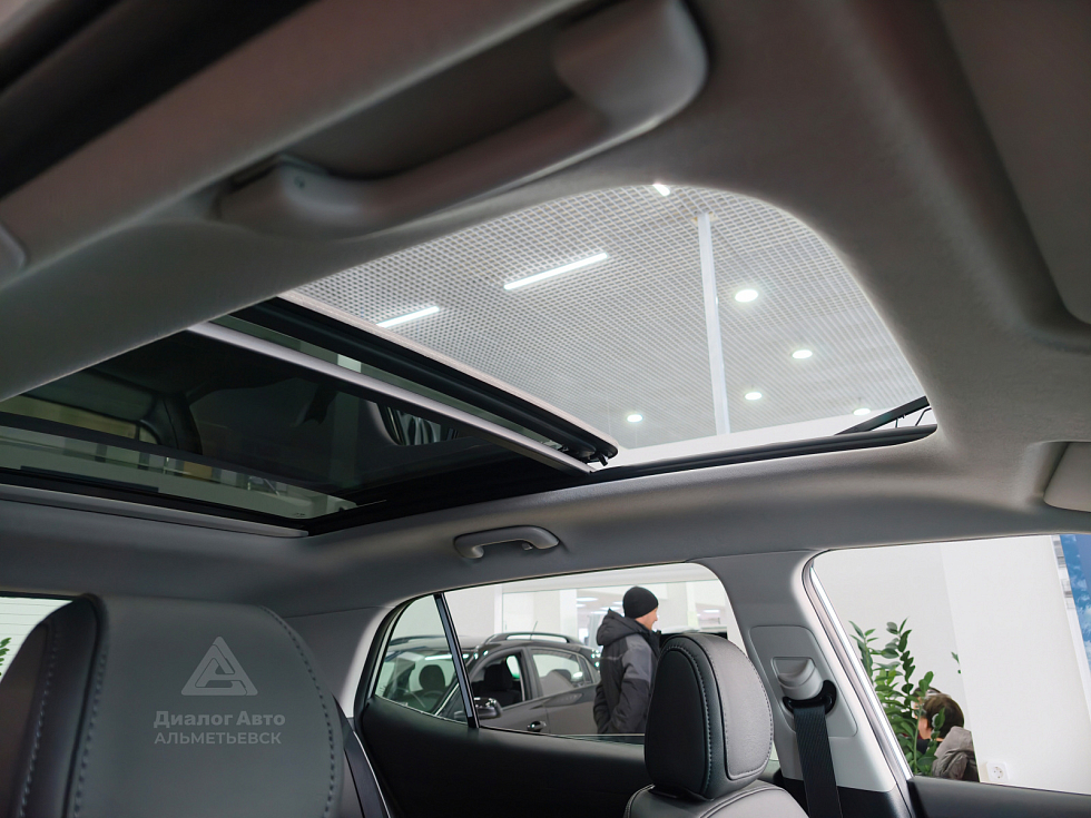 Solaris HC Lifestyle + Advanced, серебряный