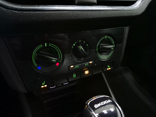 Skoda Rapid Ambition, 2021 года, пробег 163503 км